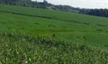 Imagem: Fazenda localizado(a) no bairro em Eldorado