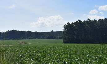Imagem: Fazenda localizado(a) no bairro Centro em
