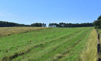 Imagem: Fazenda localizado(a) no bairro em Paverama