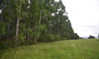 Imagem 7: Fazenda localizado(a) no bairro Serraria em Butiá / Rio Grande do Sul Ref.:108
