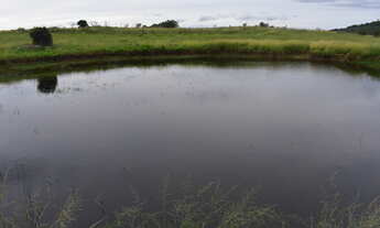 Imagem: Fazenda localizado(a) no bairro Serraria