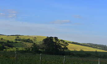 Imagem: Fazenda localizado(a) no bairro Centro em
