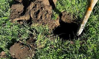 Imagem 2: Fazenda localizado(a) no bairro em Dom Pedrito / Rio Grande do Sul Ref.:113