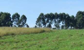 Imagem: 242 HECTARES VOCÊ PRECISA VISITAR!