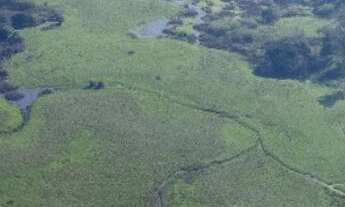 Imagem: Fazenda localizado(a) no bairro em Capela