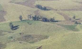 Imagem: Fazenda localizado(a) no bairro em Capela