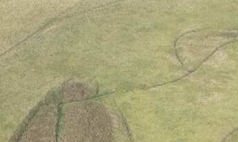 Imagem: Fazenda localizado(a) no bairro em Capela