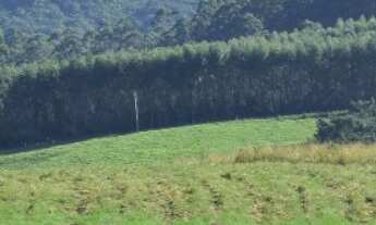 Imagem: 161 HECTARES