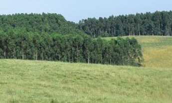 Imagem 3: 161 HECTARES Fazenda / sítio com venda por R$9.660.000