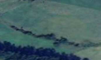 Imagem 4: 161 HECTARES Fazenda / sítio com venda por R$9.660.000