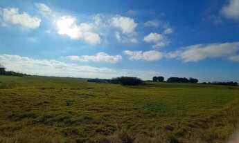 Imagem 7: 401 HECTARES EM CACHOEIRA DO SUL