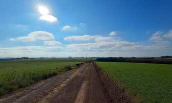Imagem: 401 HECTARES EM CACHOEIRA DO SUL