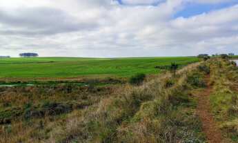 Imagem 4: 401 HECTARES EM CACHOEIRA DO SUL