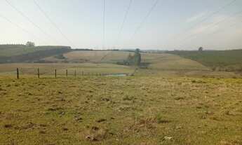 Imagem 2: 9 HECTARES PERTO DA BR 386