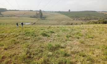 Imagem 3: 9 HECTARES PERTO DA BR 386