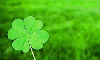 Imagem: TEMOS INVESTIDORES PARA SUA FAZENDA