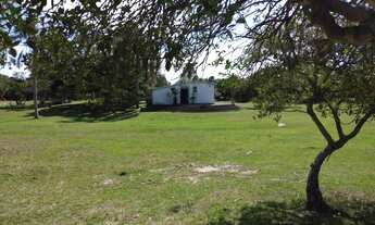 Imagem: 1.496 HECTARES EM CACHOEIRA DO SUL