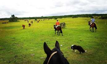 Imagem: 208 HECTARES NO LITORAL