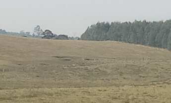 Imagem 2: 9 HECTARES EM TRIUNFO RS