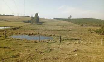 Imagem 4: 9 HECTARES EM TRIUNFO RS