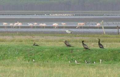 Imagem 2: 208 HECTARES NO LITORAL