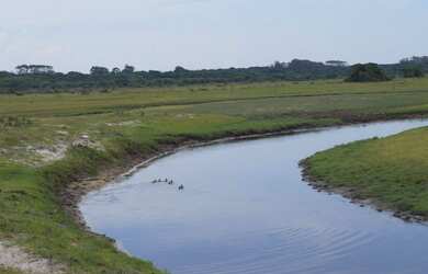 Imagem 3: 208 HECTARES NO LITORAL