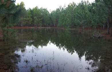 Imagem 5: 208 HECTARES NO LITORAL