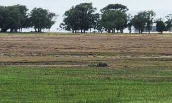 Imagem 3: 1.000 HECTARES EM RIO GRANDE