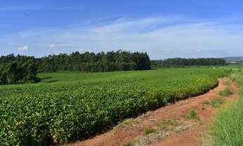 Imagem: 890 HECTARES PROPRIEDADE FANTÁSTICA!!