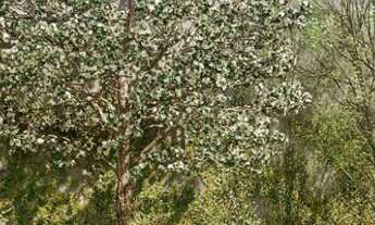 Imagem 5: Imóvel com piscina e segurança 24h em Jardim Santo Elias, São Paulo - Viewline Pirituba