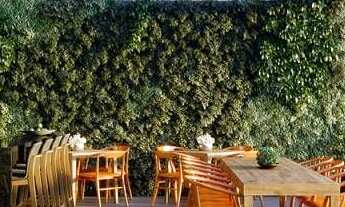 Imagem: Diferenciado com 2 quartos à Venda, Anita