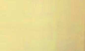 Imagem 3: Apartamento à Venda no Parque dos Pássaros