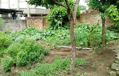Imagem 3: Casa à Venda em Sete de Setembro