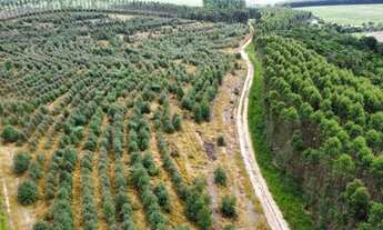 Imagem: Sitio a venda em Sao Pedro-sp Alto da Serra