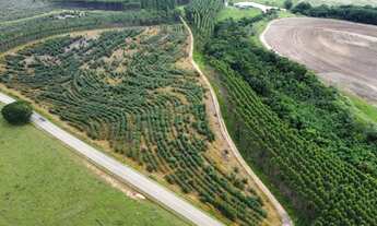 Imagem 2: Sitio a venda em Sao Pedro-sp Alto da Serra