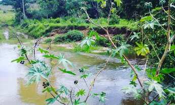 Imagem 2: Sitio a venda em São Pedro, bairro Tanquan