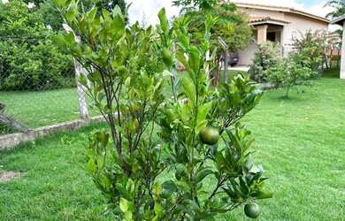 Imagem 6: Casa a venda em Sao Pedro-sp bairro Nova São Pedro ll