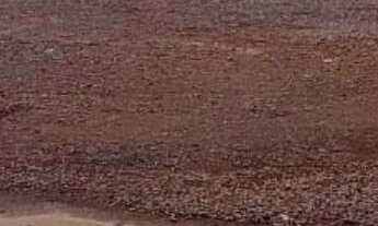 Imagem: Vende-se barracão em Maringá-PR