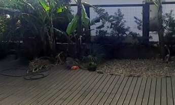 Imagem 3: Apartamento à venda com 164m²de 3 quartos