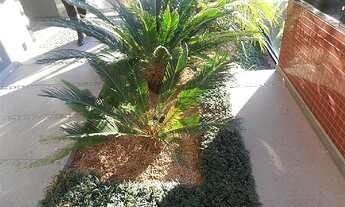 Imagem 2: Excelente apartamento no Colina Sorriso, andar inteiro