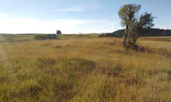 Imagem: Chácara em Rincão das Flores, 4 hectares