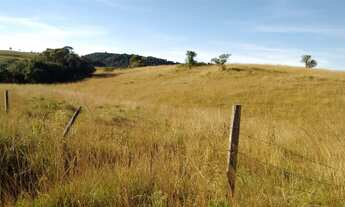 Imagem 2: Chácara em Rincão das Flores, 4 hectares