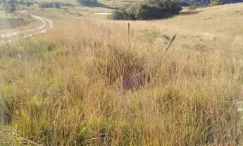 Imagem 3: Chácara em Rincão das Flores, 4 hectares