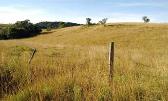 Imagem 4: Chácara em Rincão das Flores, 4 hectares