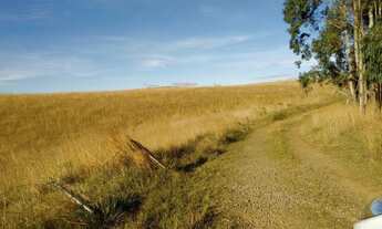 Imagem 6: Chácara em Rincão das Flores, 4 hectares