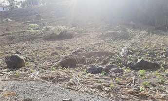 Imagem 2: Terreno em Forqueta, plano