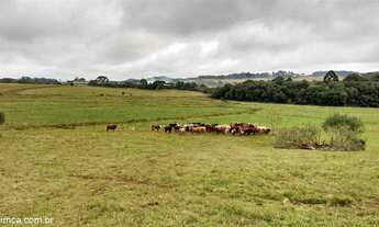 Imagem 2: Fazenda com 4 Dormitorio(s) localizado(a) no bairro Dalangho em Caxias do Sul / RIO GRAND