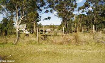 Imagem 2: Terreno com 2 Dormitorio(s) localizado(a) no bairro Apanhador em Caxias do Sul / RIO GRAN