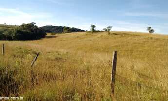 Imagem: 4 hectares de campo em Rincão da Flores