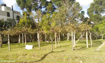 Imagem: Terreno Industrial com 3 Dormitorio(s) localizado(a)